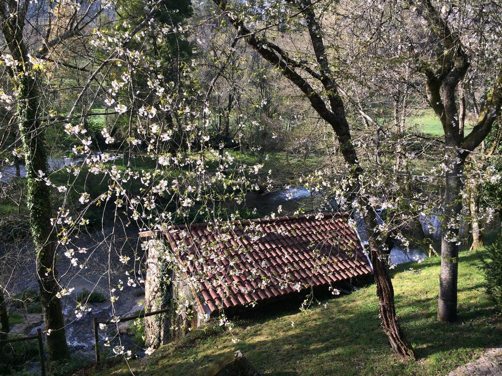 Quinta Do Rio Homem Caldelas Buitenkant foto