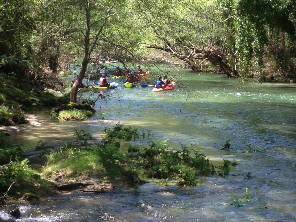 Quinta Do Rio Homem Caldelas Buitenkant foto