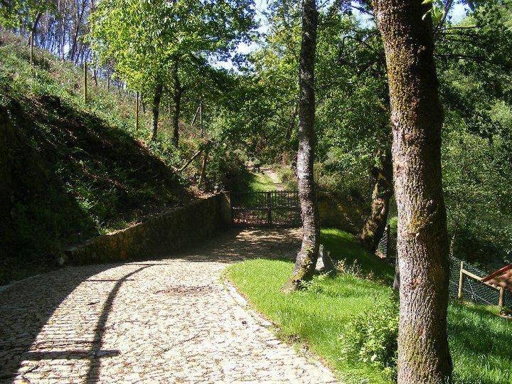 Quinta Do Rio Homem Caldelas Buitenkant foto